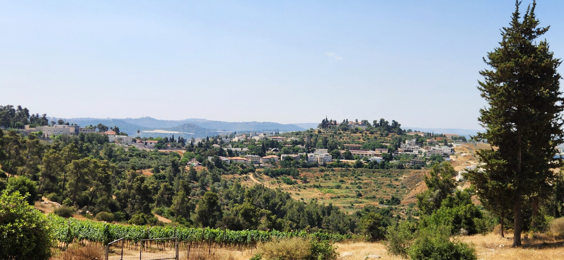 Read more about the article בין מסילת ציון, גבעת יערים, אבו גוש והר הרוח