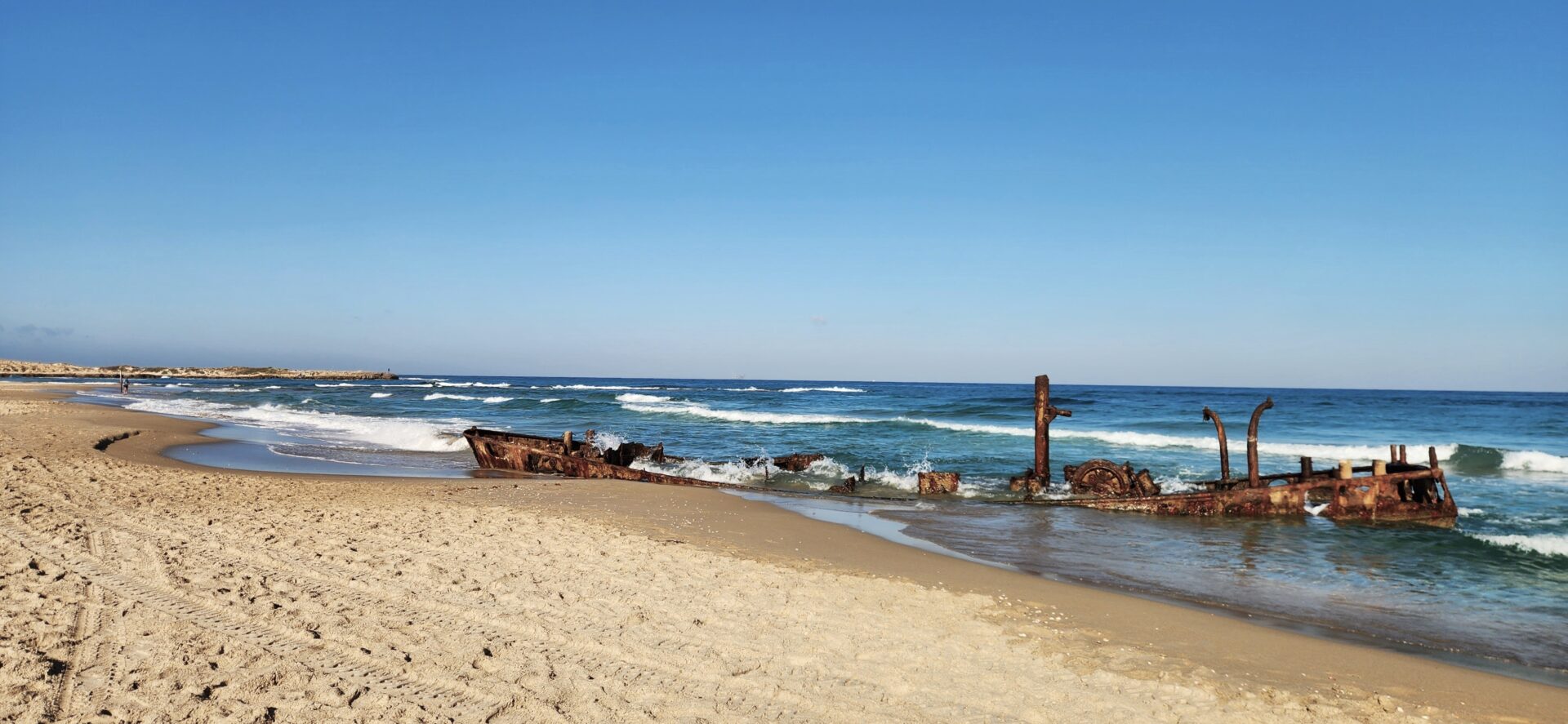 Read more about the article בין חוף דור, הבונים, יער עופר ופורדיס