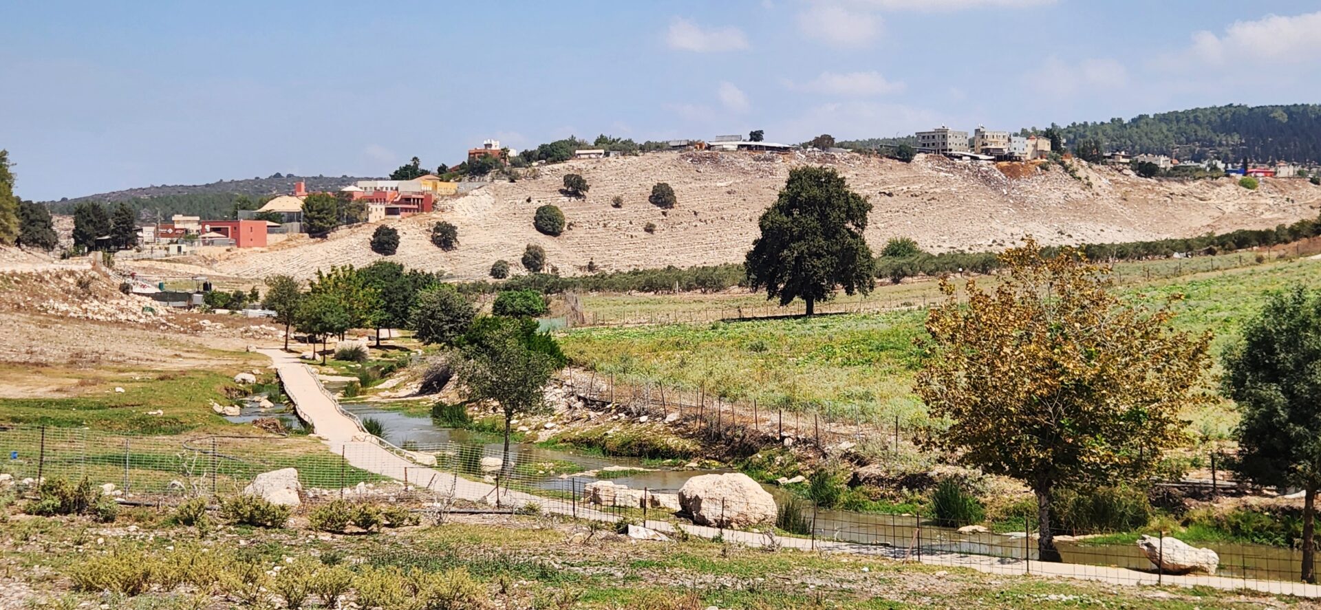 Read more about the article סיבוב קיצי בגליל התחתון בין מעינות וחורש אלונים