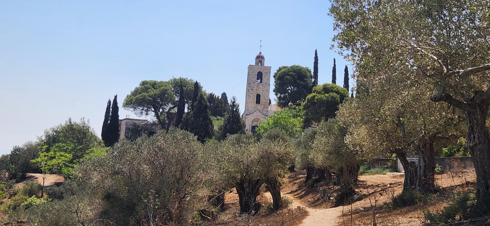 Read more about the article בין נחל קמה פסגת התבור ונחל תבור