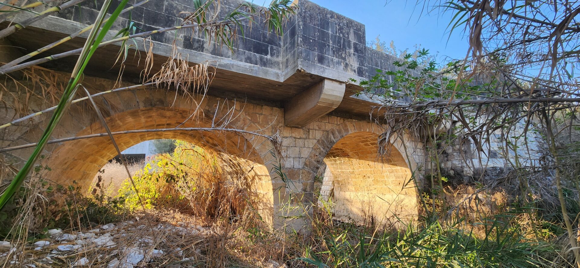 Read more about the article בין חורשן פורדיס ובת שלומה, מסלול עם ביקור במנהרת היין הסודית