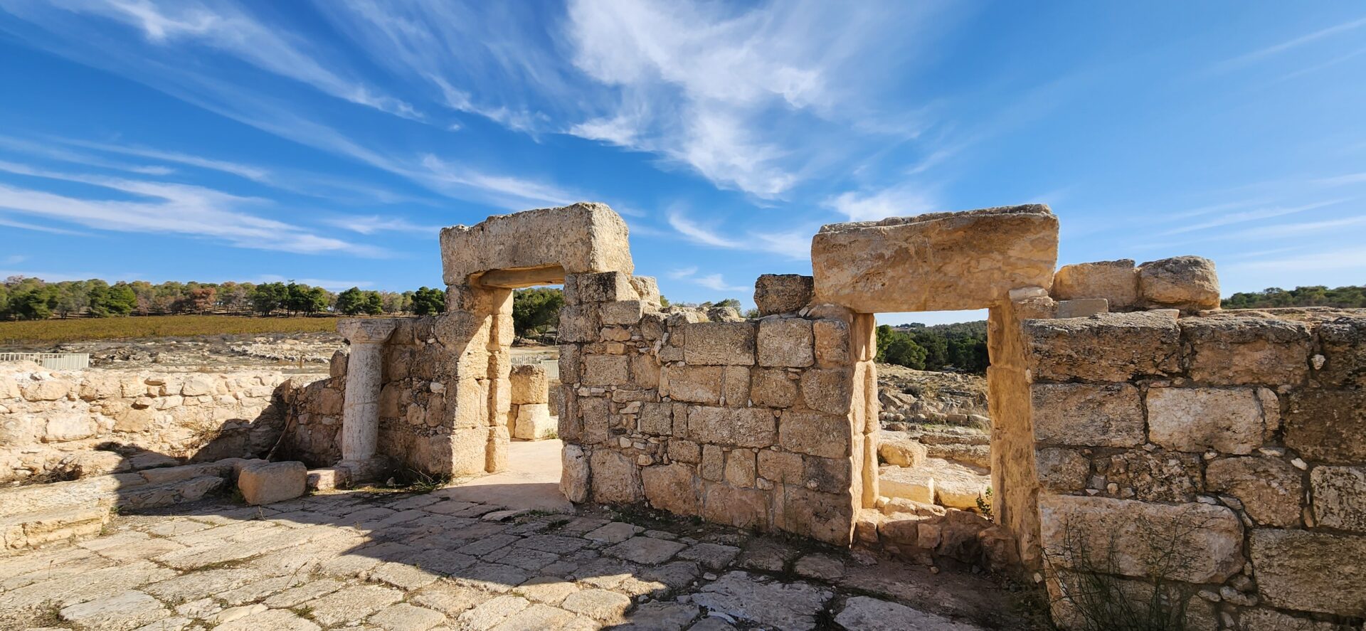 Read more about the article בין מיתר להר עמשא