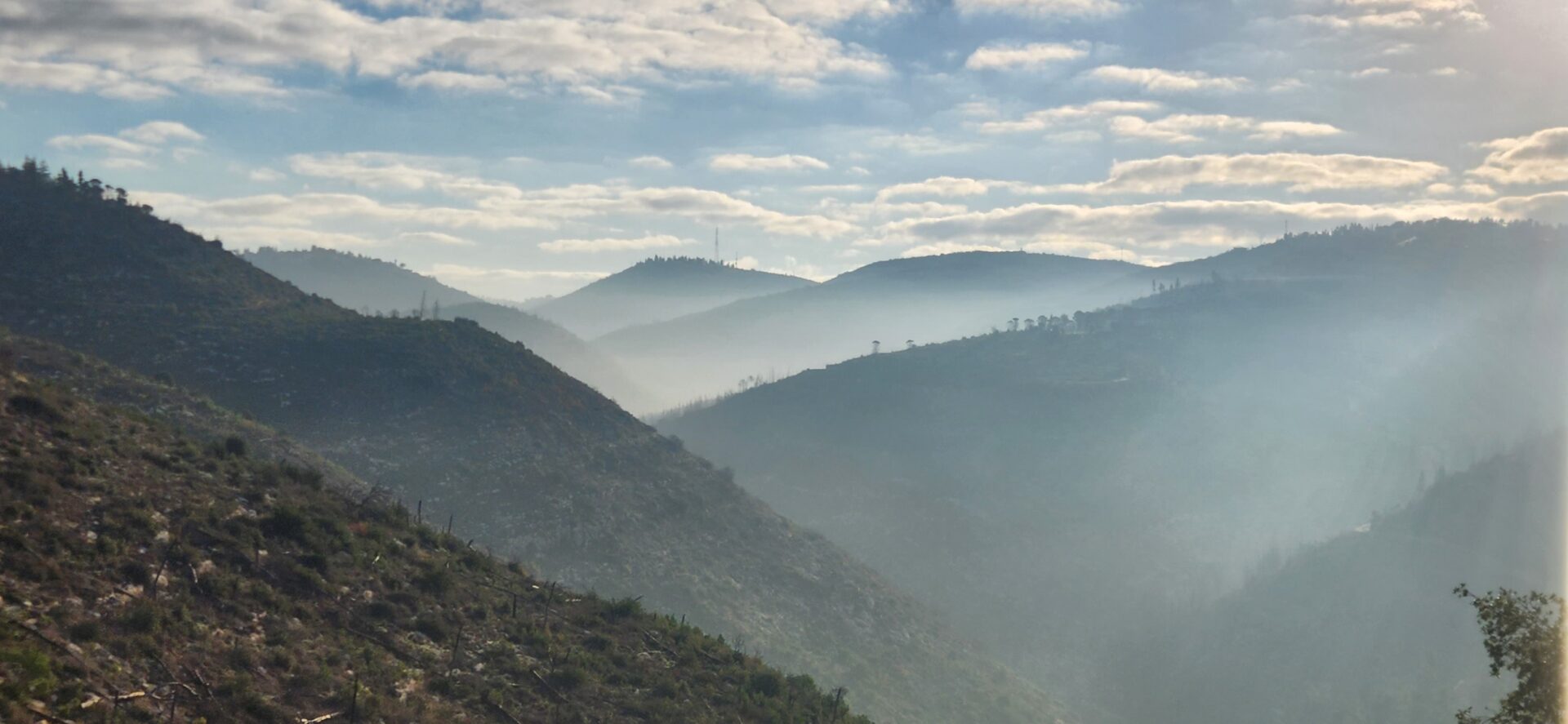 Read more about the article בין אשתאול נחל כסלון ורמת רזיאל – מסלול ליום שאחרי הגשם