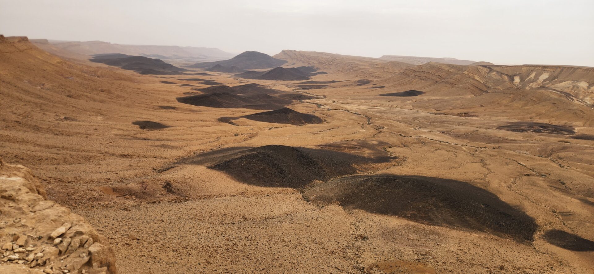 Read more about the article בין הר רמון להר עריף