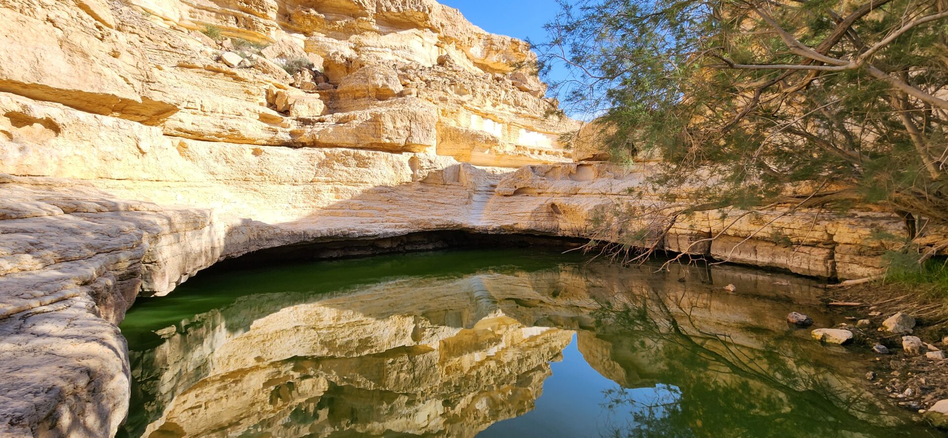 Read more about the article בין גבי שרף, עין אום צלאח ונחל מרזבה