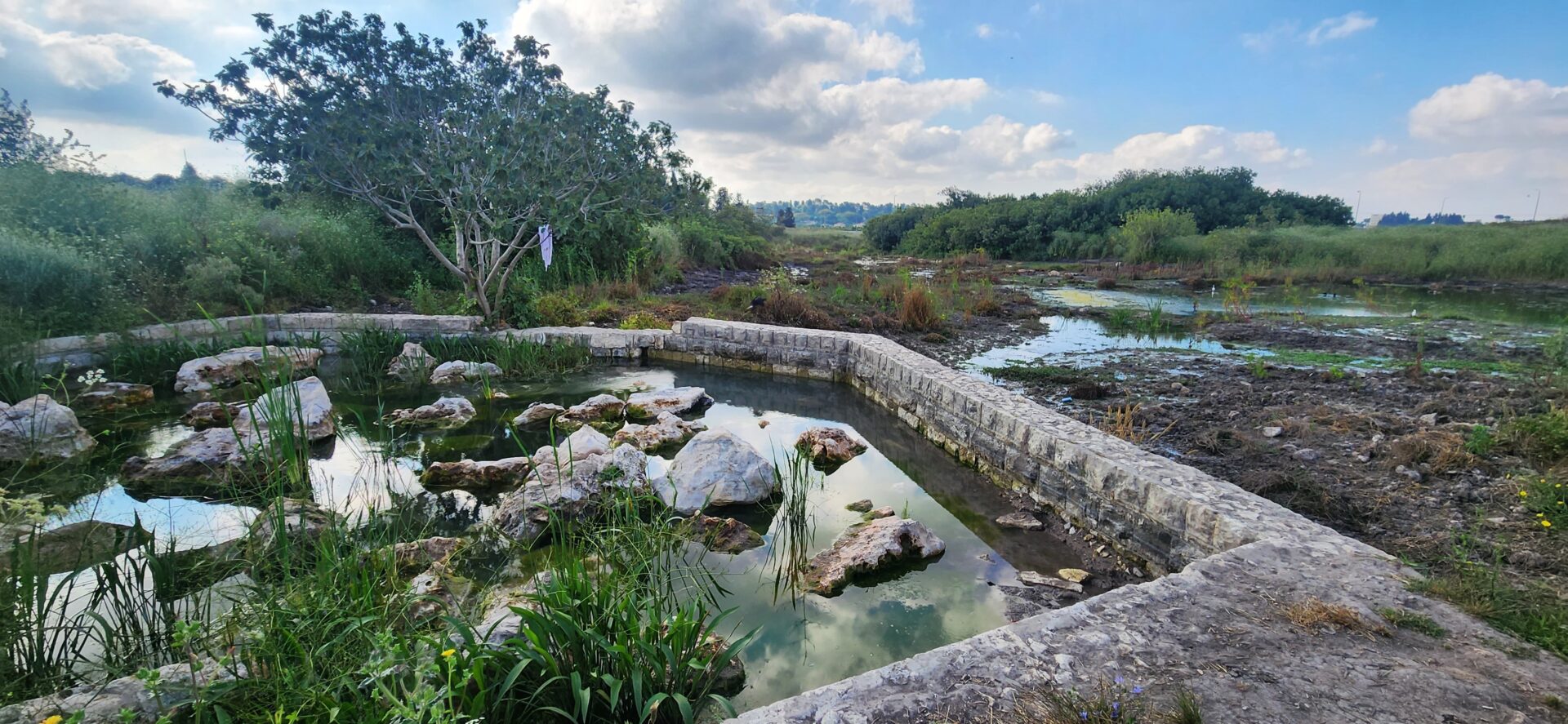 Read more about the article סובב חריש, יחד עם סינגל עירון