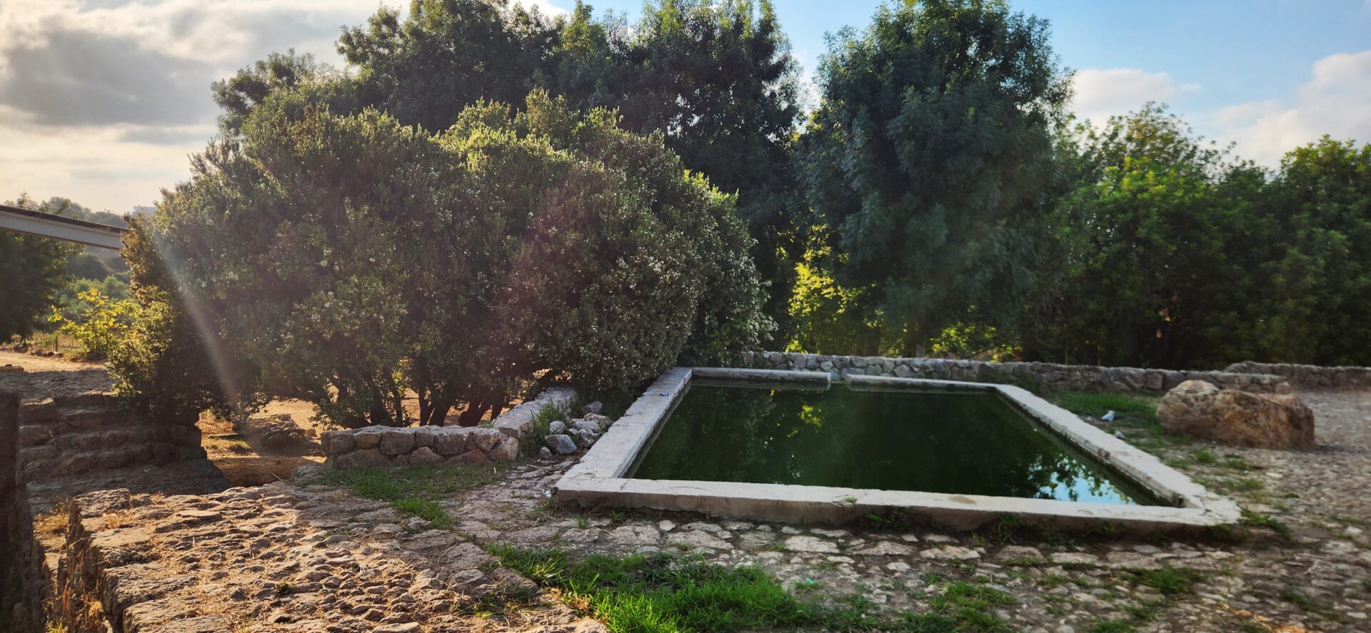 Read more about the article בין עין-צור, בת-שלומה וחורשן