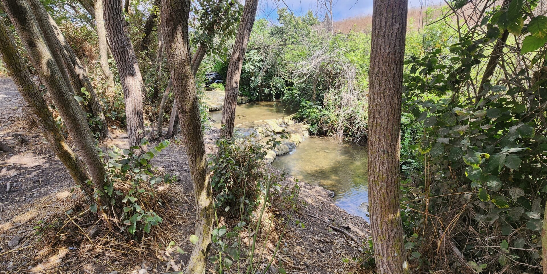 Read more about the article חיבורי סינגלים ברמת השופט