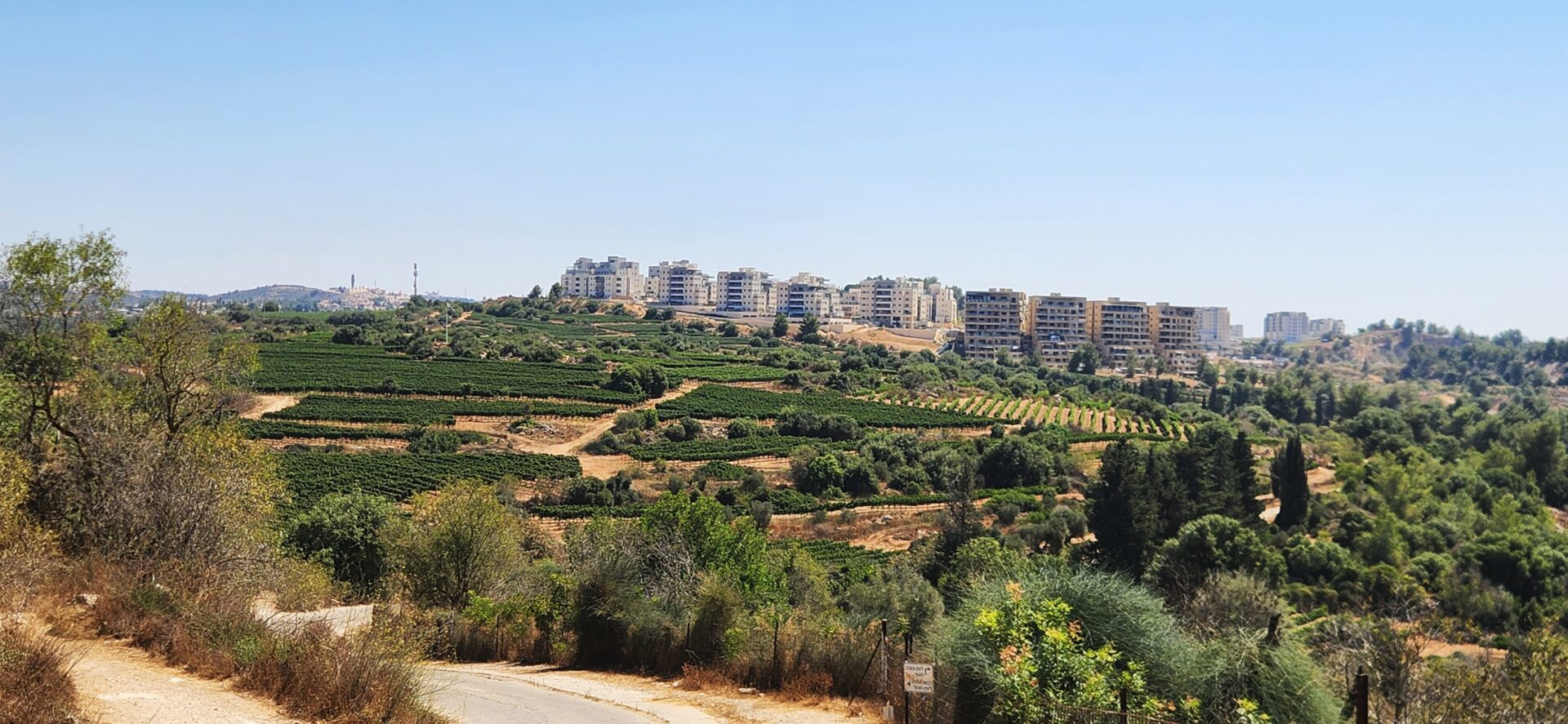 Read more about the article בין בית זית, עין ראפה, צובה ועין כרם – מסלול ליום חם